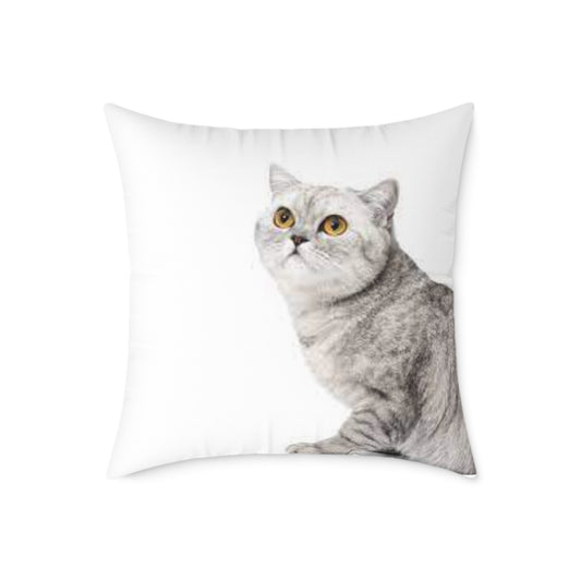 Cute Cat Square Poly Canvas Pillow - Stylish Home Decor