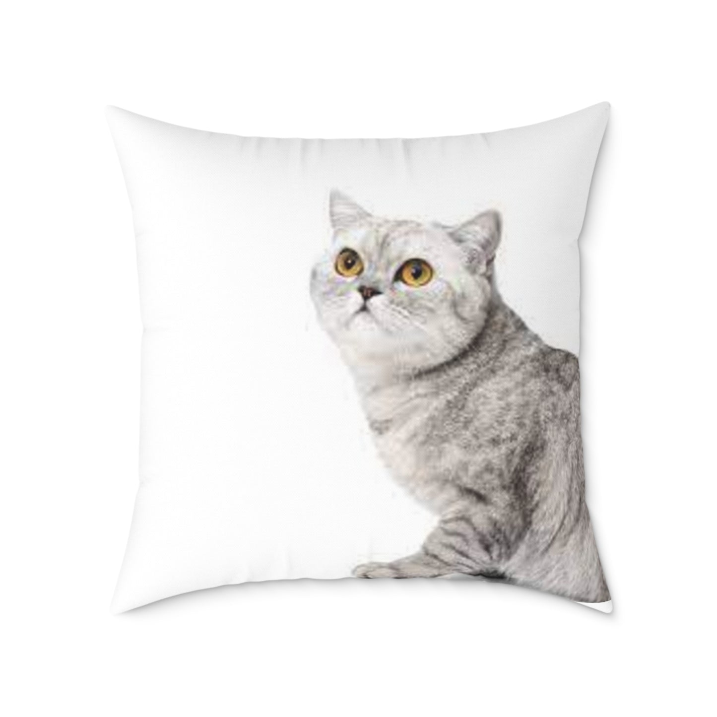 Cute Cat Square Poly Canvas Pillow - Stylish Home Decor